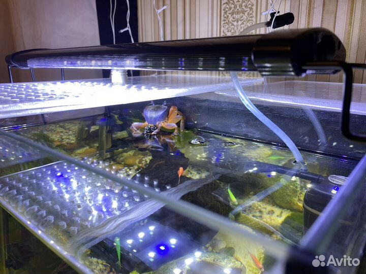 Аквариум