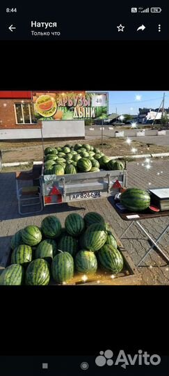 Арбуз оптом