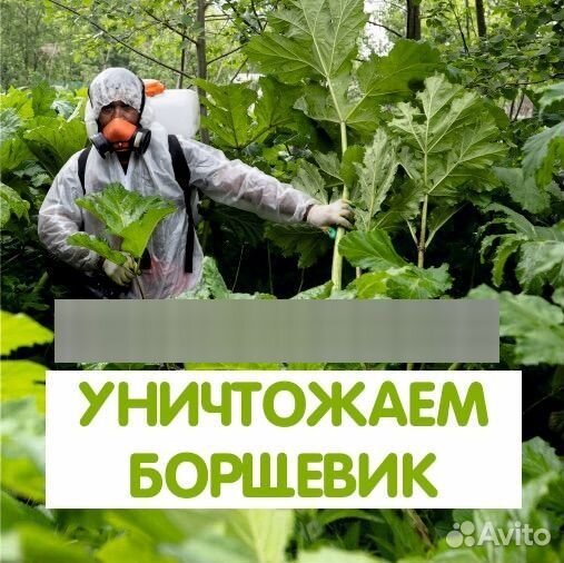 Обработка територий от клещей, комаров и т д