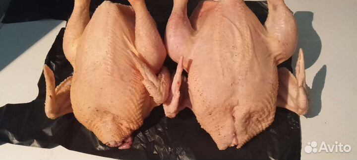Куры бройлеры тушки мясо