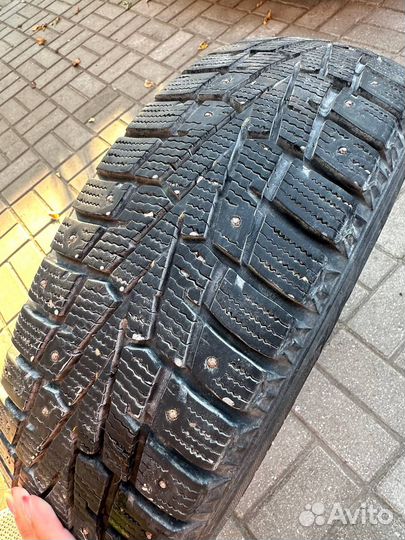 Nexen Winguard WinSpike 185/65 R15