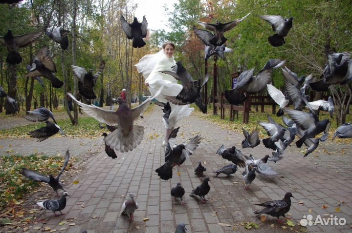 Свадебная фотосъемка. Фотосессия по городу