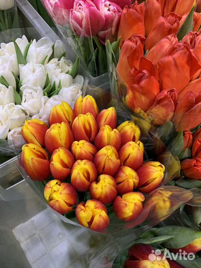 Цветы Тюльпаны и букеты с доставкой 24 часа москва