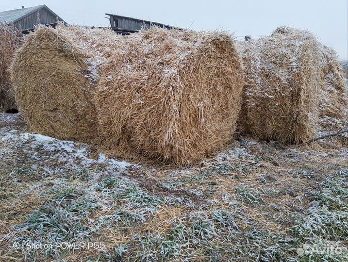 Солома в тюках