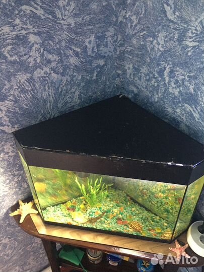 Аквариум