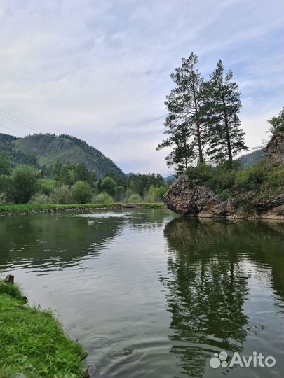 Туры и проживание на Алтае