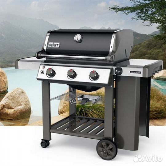 Гриль газовый Weber Genesis II E-310 GBS