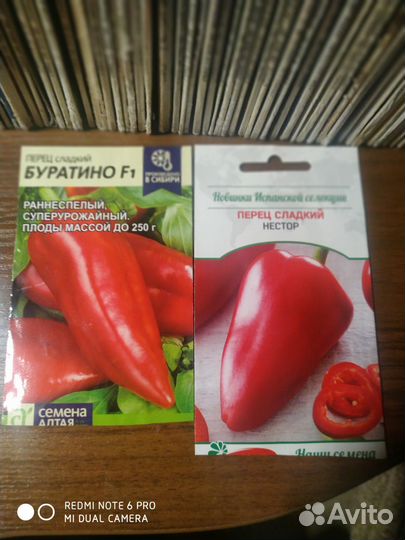 Семена сладкого перца