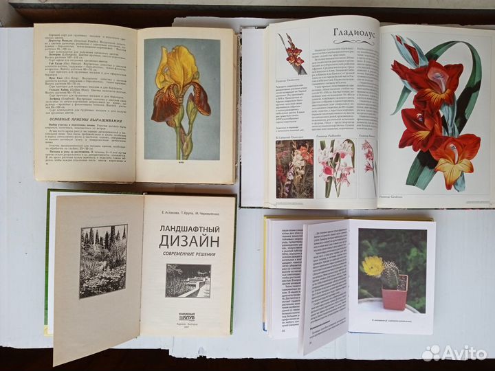 Книги Цветы Грибы Собаки Выпечка и др