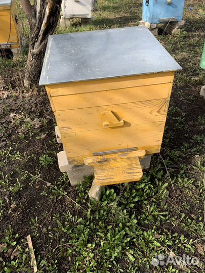 Пчелиные ульи