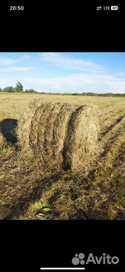 Сено в рулонах