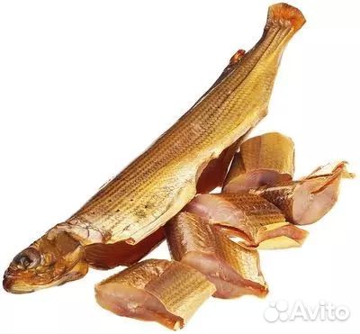 Хариус