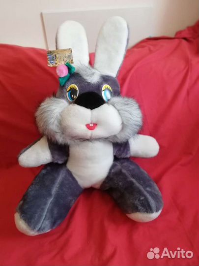 Новый крупный заяц