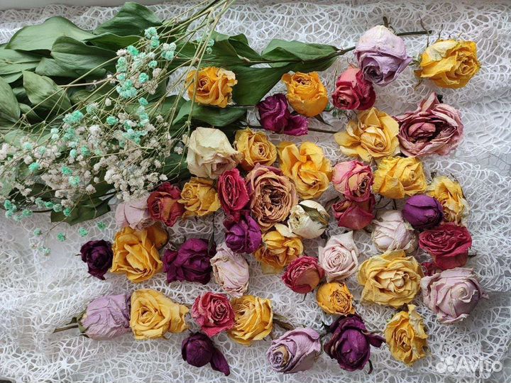 Цветы засушенные сухоцветы гербарий объёмные розы