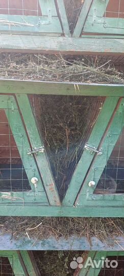 Клетка для кролика