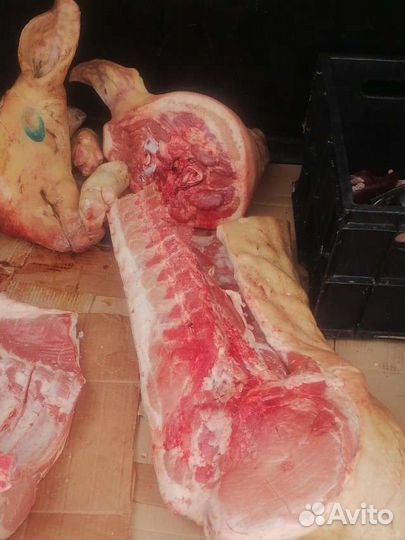 Мясо свинина