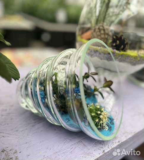 Флорариумы и цветочные композиции