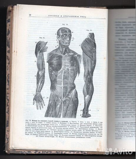 Школа здоровья. Издание до 1917 г