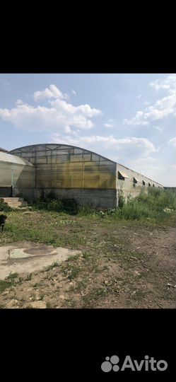 Отапливаемая Теплица