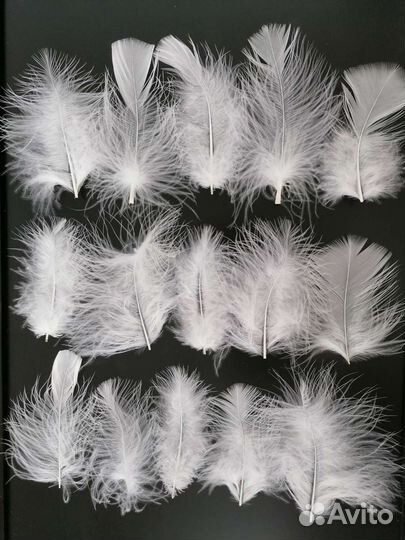 Перья натуральные набор для поделок и украшений