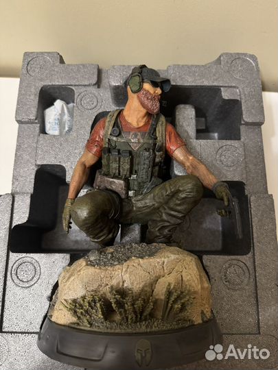 Коллекционное издание Ghost Recon Wildlands