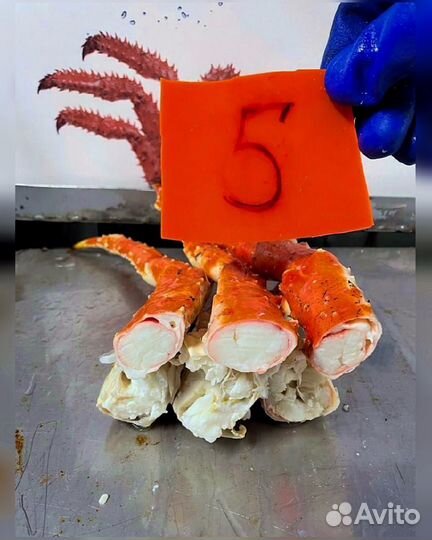 Конечности краба стригуна