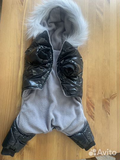 Одежда для маленьких собак xs