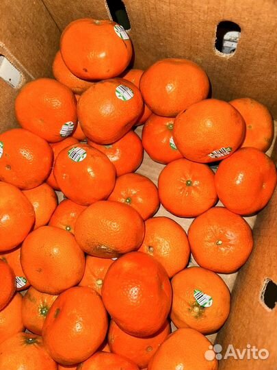 Сочные сладкие мандарины