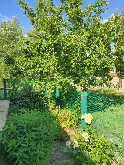 Дом 70 м² на участке 12 сот.