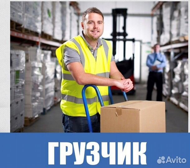 Грузчики с проживанием/Московская область