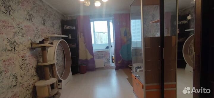 Передержка кошек с лейкозом (влк)