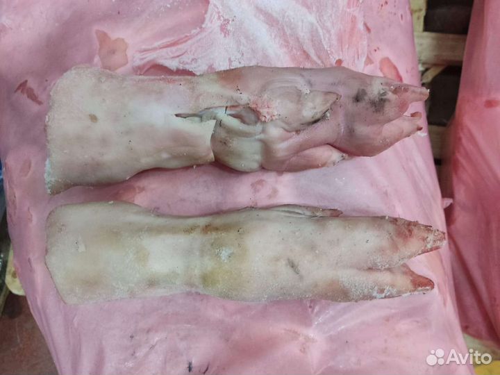 Ноги свиные задние