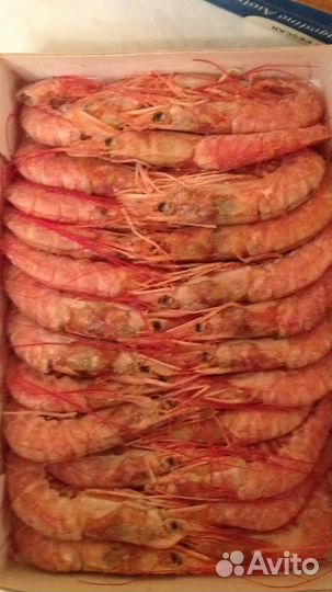 Икра красная