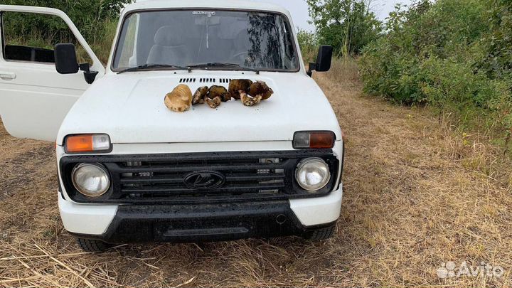 LADA 4x4 (Нива) 1.7 МТ, 1997, 200 000 км