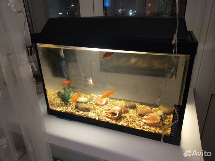Аквариум