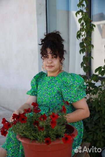 Математика, высшая математика