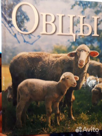 Книги по животноводству