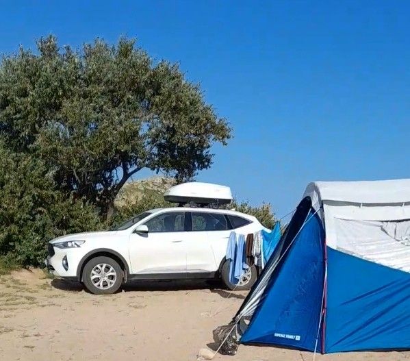 HAVAL F7: фото владельца
