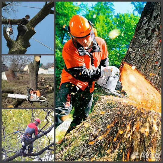 Уборка Территорий.Покос Травы. Спил Деревьев