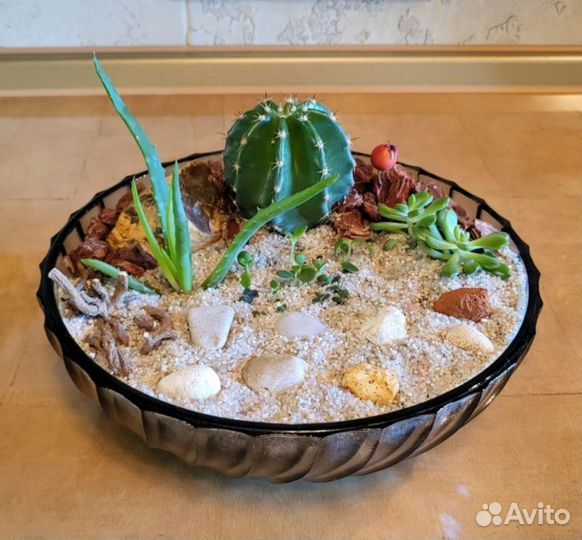 Мини сад - Флорариум с суккулентами, Сад камней