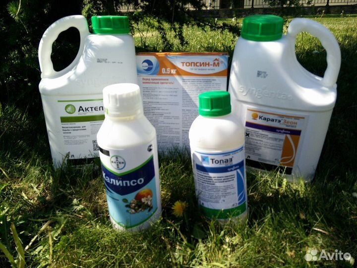 Средства защиты растений (склад в Ставрополе)