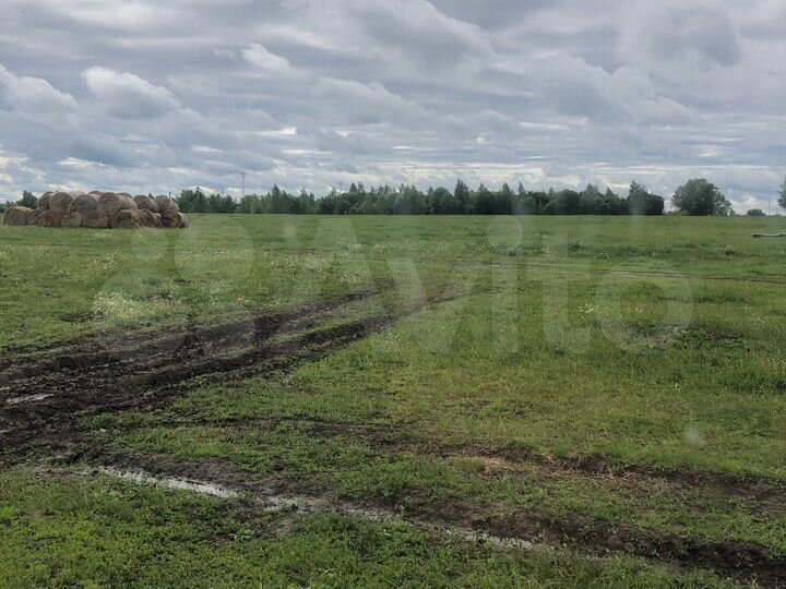 Участок 60 га (СНТ, ДНП)
