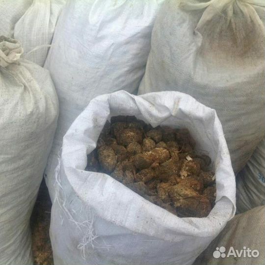 Навоз конский в мешках