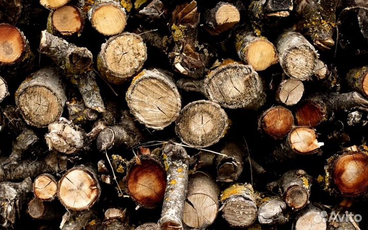 Дрова 30 см