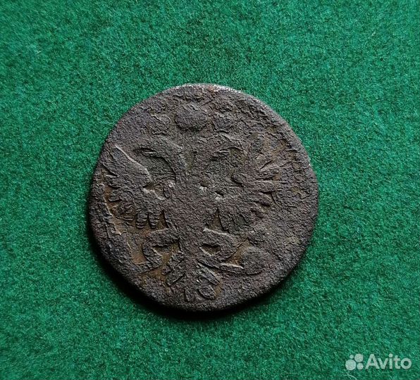 Полушка 1731г