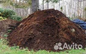 Перегной 3-х летний, земля