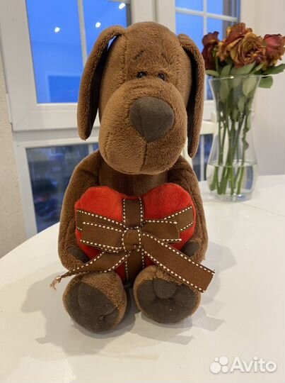 Собака orange exclusive