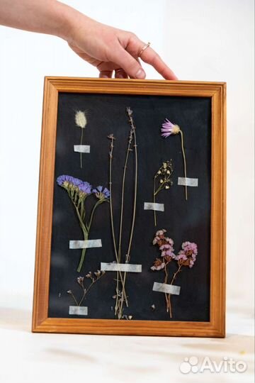 Гербарий в стекле