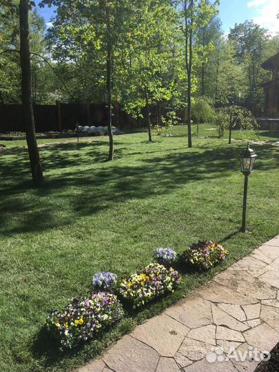 Укладка газона