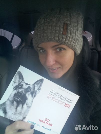 Ветеринарный врач